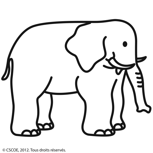 Elephant_NB