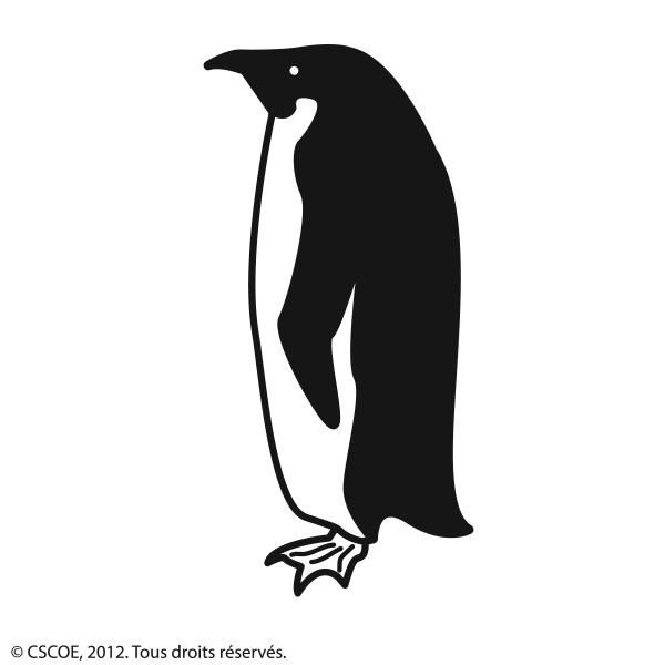 Pingouin_NB