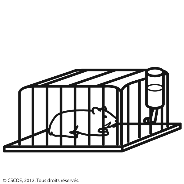 Cage2_NB