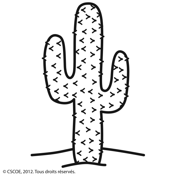 Cactus_NB