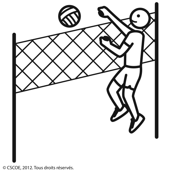 Volleyball_NB