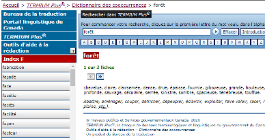 Capture d’écran présentant les résultats d’une recherche de cooccurrences pour le mot forêt réalisée à l’aide de Termium Plus, dictionnaire de cooccurrences en ligne. On voit au centre des exemples d’adjectifs qui sont souvent combinés au mot forêt: chevelue, claire, clairsemée, dense, drue, épaisse, fournie, giboyeuse, grande, etc.